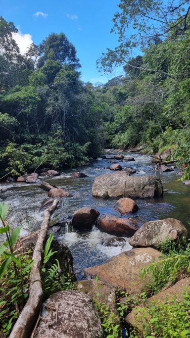Rivière bordée de rochers, entourée d'une dense végétation tropicale.